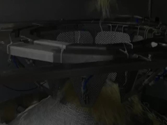 Machine automatique verticale à grande vitesse pour le pesage et l'emballage de nouilles